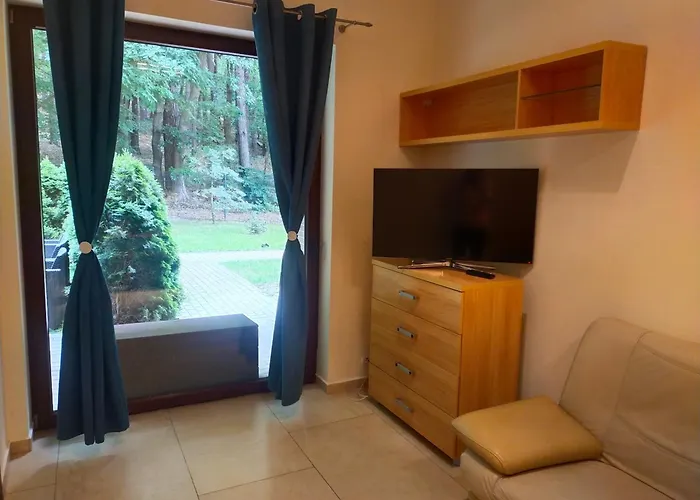 Apartament Przy Parku Wiselka